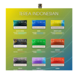 IQOS Terea Uzbekistan in  Dubai UAE - Image 10