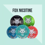 white fox nicotine pouche & snus - Image 7