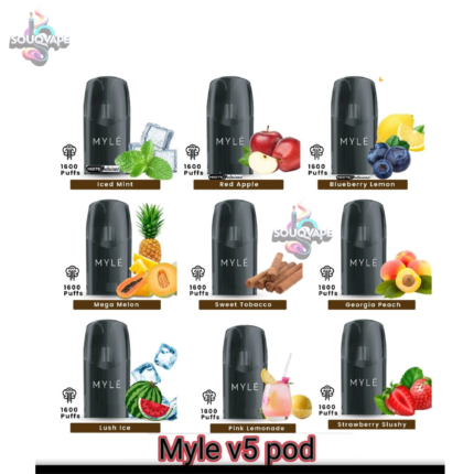 Buy Myle Meta V5 Iced Mint Pod From Dubai