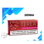 Buy TEREA for IQOS Iluma in Dubai, UAE: Premium Heat-Not-Burn Tobacco Sticks - Image 5